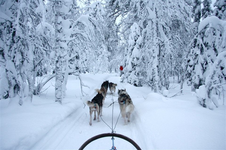 Finnish Wilderness Week